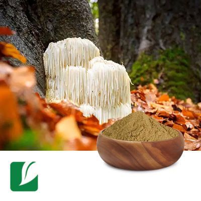 Lion Mane Mushroom Extract 10:1 by Xi'an Longze