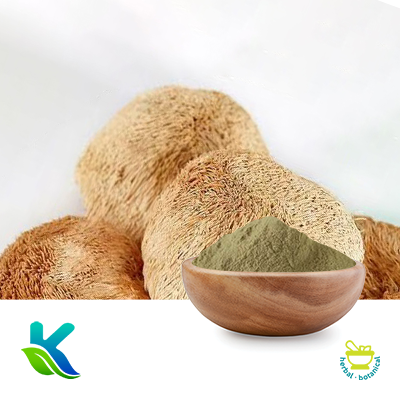Lion's Mane Mushroom Extract 10:1 by Hunan Naturext