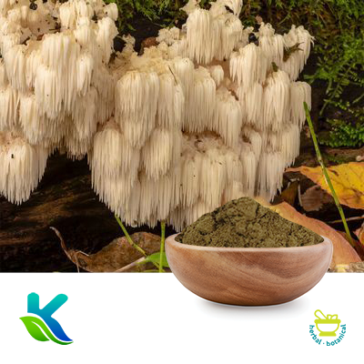 Lion's Mane Mushroom Powder by Hunan Naturext