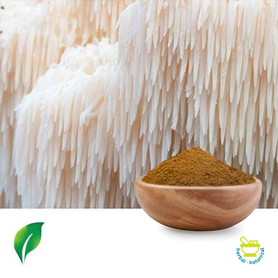 Lion's Mane Mushroom Powder by Changsha Sunnycare