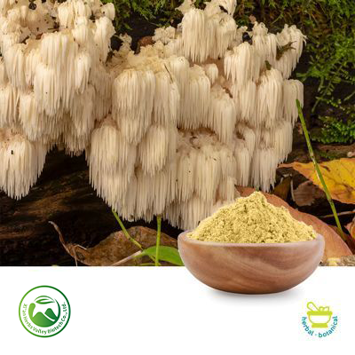 Lion's Mane Mushroom Powder by Xi'an Herbs Valley