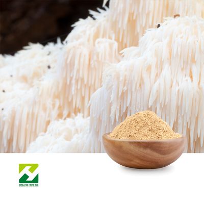 Lion's Mane Mushroom Extract 40% Polysaccarides by Organic Herb Inc