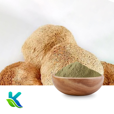 Lion's Mane Mushroom Extract 10:1 by Hunan Naturext