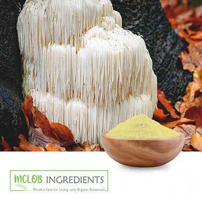 Lions mane mushroom powder by Mclob America LLC