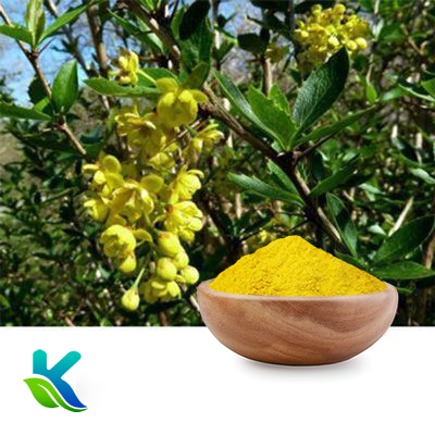 Liposomal Berberine 50% by Hunan Naturext