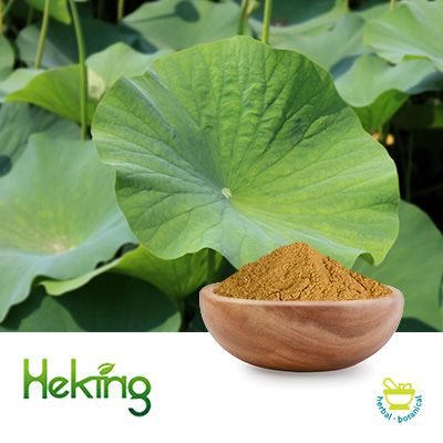 Lotus Leaf Extract 10:1 by Heking