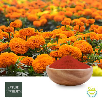 Lutein 10% Powder  (Marigold Flower Extract)  by PUREHEALTH