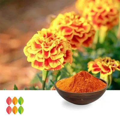 Lutein 20% & Zeaxanthin 4% Powder (Marigold Extract) (cGMP certified) by PUREHEALTH