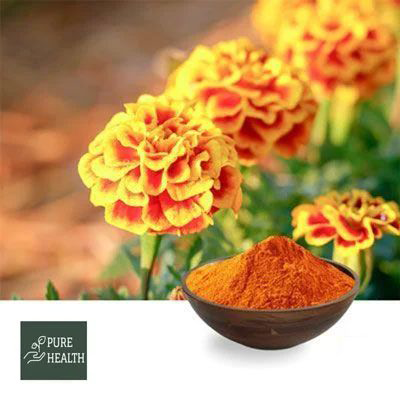 Lutein 20% & Zeaxanthin 4% Powder (Marigold Extract) by PUREHEALTH