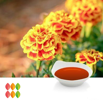 Lutein 20% Oil (Marigold Extract) (cGMP certified) by PUREHEALTH