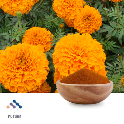 Lutein Beadlets 5% by Yunnan Future Bio-Tech