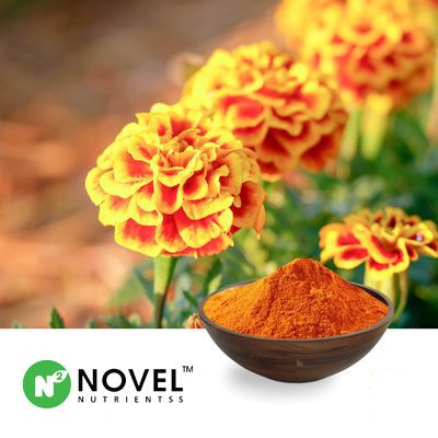 Marigold Extract (Free Lutein 5%)  by Novel Nutrientss