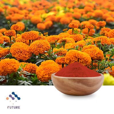 Lutein 10% Powder (Marigold Flower Extract) by Yunnan Future Bio-Tech