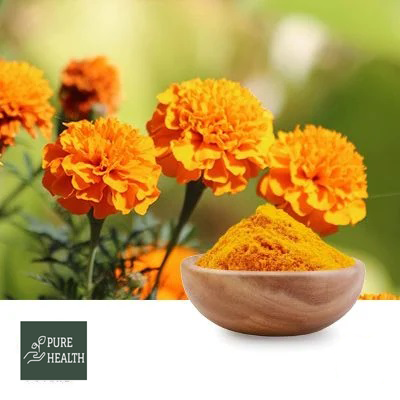 Lutein 5% Powder (Marigold Flower Extract) by PUREHEALTH