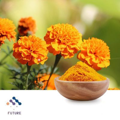 Lutein 5% Powder (Marigold Flower Extract) by Yunnan Future Bio-Tech