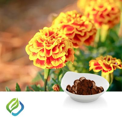 Lutein Softgel 1000mg by FocusFreda
