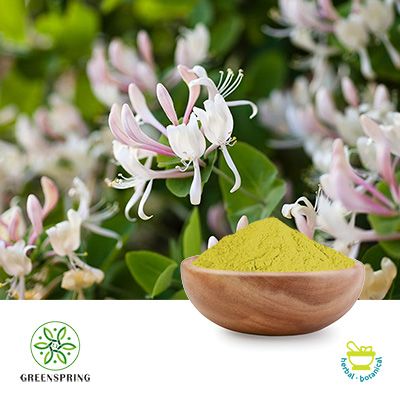 Luteolin 98% Powder by HPLC by Green Spring