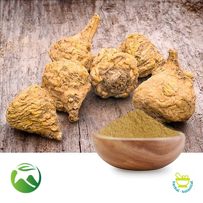 Maca Powder by Xi'an Herbs Valley