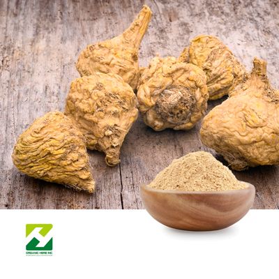 Maca Root Powder by Organic Herb Inc