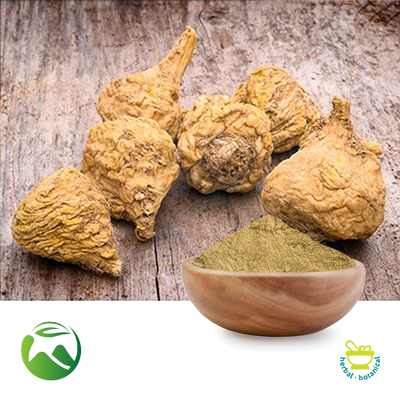 Maca Extract 10:1 by Xi'an Herbs Valley