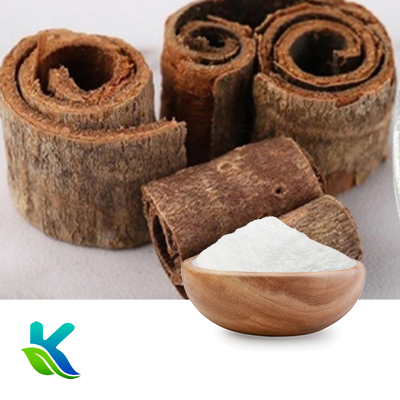 Magnolia Bark Extract 90% Total Phenolics by Hunan Naturext