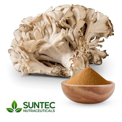 Maitake Mushroom Extract 10:1 by Suntec Nutraceuticals