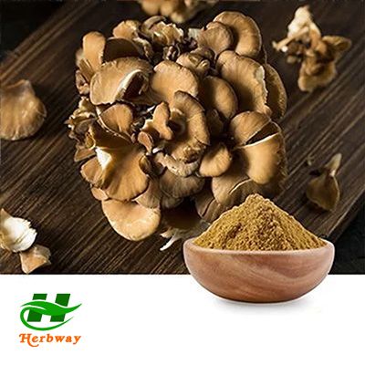 Maitake Mushroom Extract 50% Polysaccharides by Changsha Herbway