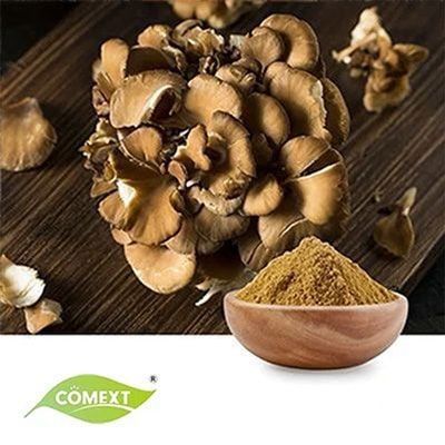 Organic Maitake Mushroom Extract 30%Polysaccharide by Comext