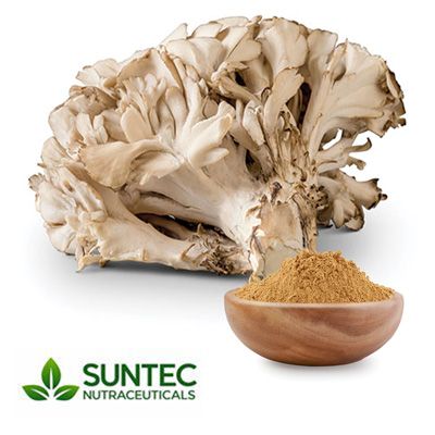 Maitake Mushroom Powder by Suntec Nutraceuticals