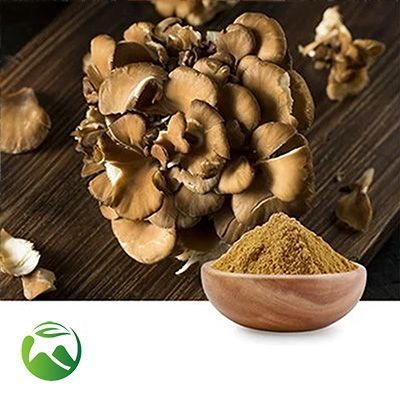 Maitake Mushroom Powder by Xi'an Herbs Valley