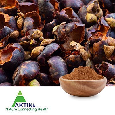 Mangosteen Peel Extract 40% alpha-Mangostin by Aktin PureNSM