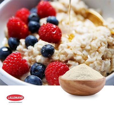 ManOliSa® Yeast Extract by Lallemand Bio Ingredients