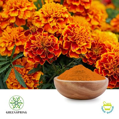 Marigold Extract Lutein 75% HPLC by Green Spring