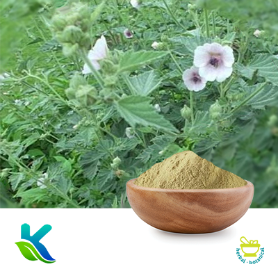 Marshmallow Extract 10:1 by Hunan Naturext