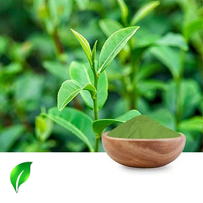 Matcha Powder by Changsha Sunnycare