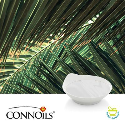 MCT Oil from Palm by Connoils
