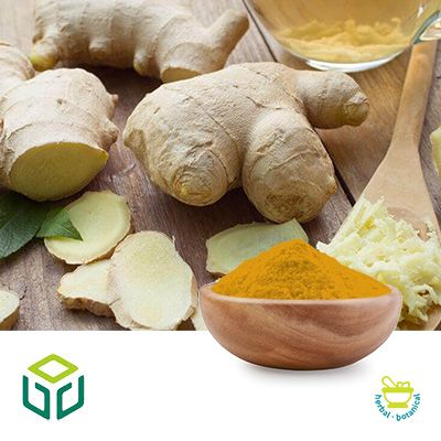Micro-encapsuled Ginger Powder 20% Gingerols by Shaanxi Jiuyuan Biotechnology