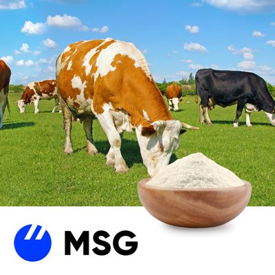 Micellar Casein Milk Protein Isolate by Milk Specialties Global