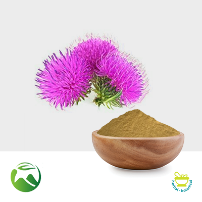 Milk Thistle Ext Silymarin≥80% UV,Silymarin≥45% HPLC,Silybin A.B.+Isosilybin A.B.≥30% by Xi'an Herbs Valley