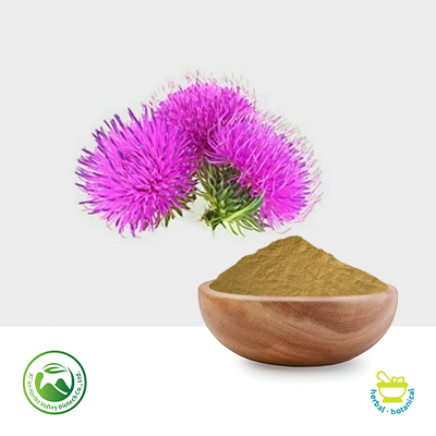 Milk Thistle Ext Silymarin≥80% UV,Silymarin≥45% HPLC,Silybin A.B.+Isosilybin A.B.≥30% by Xi'an Herbs Valley