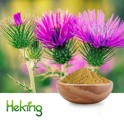 Milk Thistle Extract 10:1 by Heking