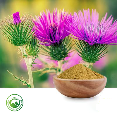 Milk Thistle Extract 10:1 by Xi'an Herbs Valley