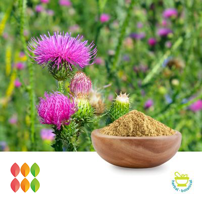 Milk Thistle Extract 80% UV /45% HPLC Silybin & 30% HPLC Isosilybin (cGMP certified)  by PUREHEALTH