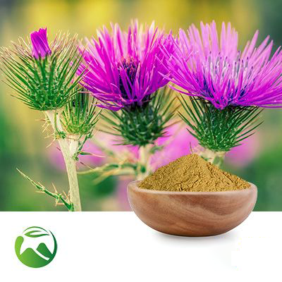 Milk Thistle Extract 10:1 by Xi'an Herbs Valley