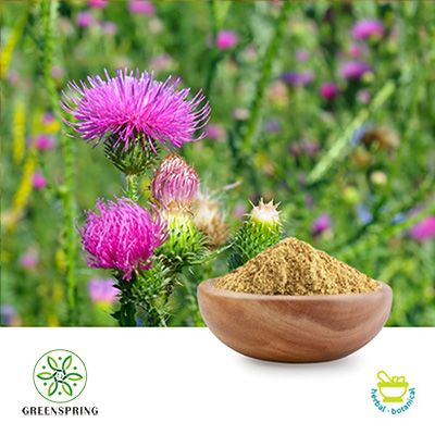 Milk Thistle Extract Silymarin 90% by HPLC by Green Spring