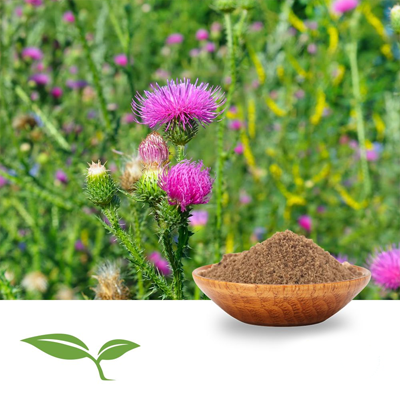 Milk Thistle Seed Powder (Organic) by American Botanicals