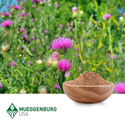 Milk Thistle Seed, Powder (Organic) by Mueggenburg USA