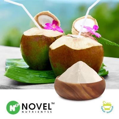 Mineralized Coconut Water Powder (Cocolyte Mineral ®)  by Novel Nutrientss