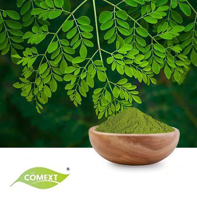 Organic Moringa Leaf Powder by Comext