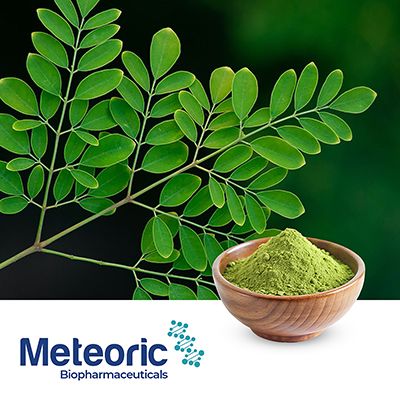 Moringa Leaf Powder by Meteoric Biopharmaceuticals